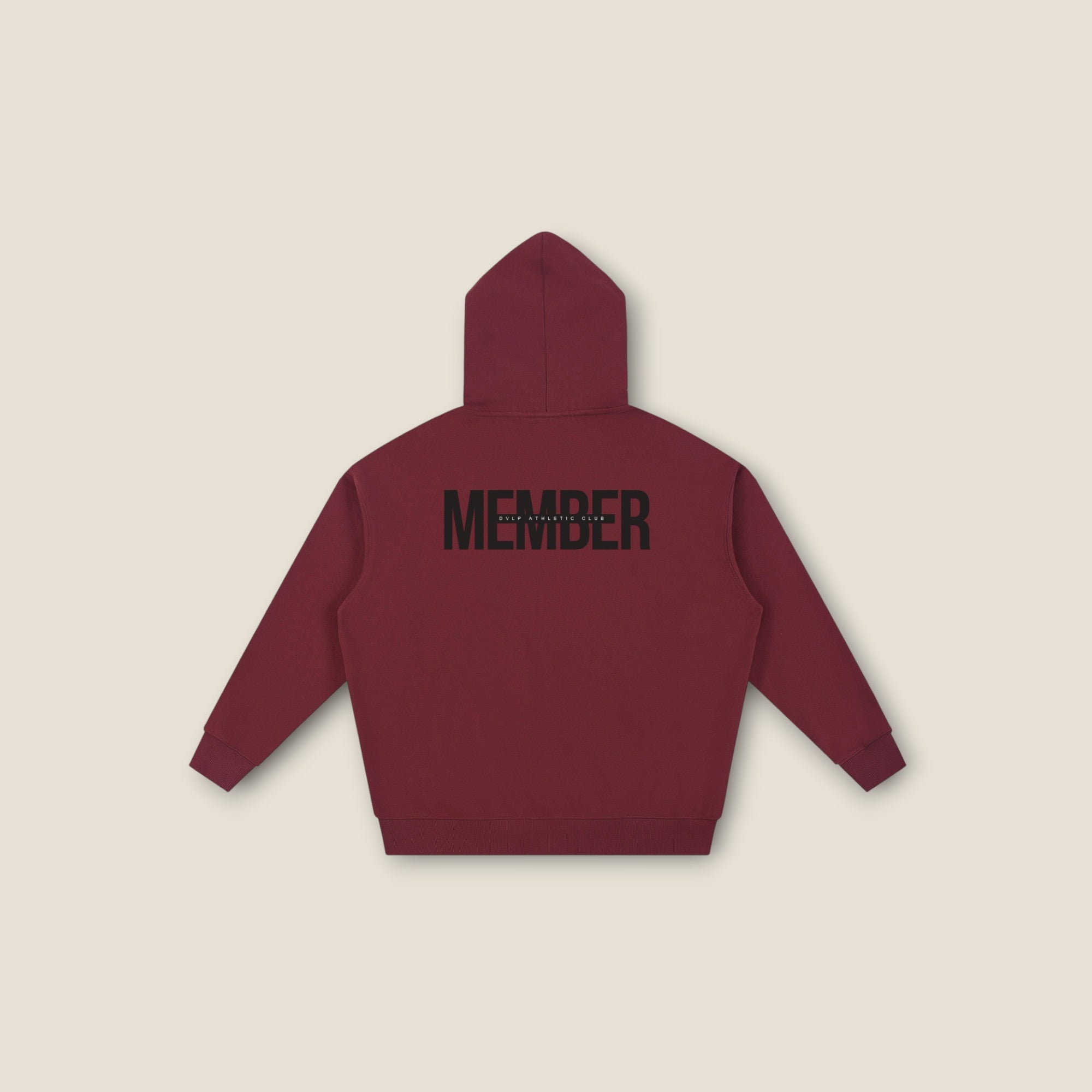 DVLP Member Series Hoodie