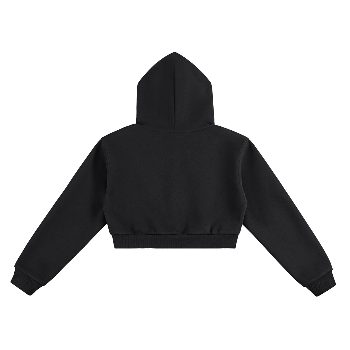 DVLP Athletics Cropped Workout Hoodie